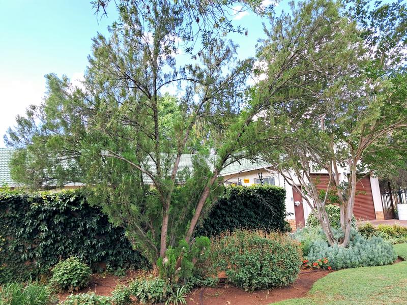 4 Bedroom Property for Sale in Fichardt Park Free State